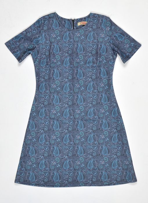 66-Clothing-The-Carly-With-Sleeves-Dress-In-ShadesOfBlue-Paisley-01